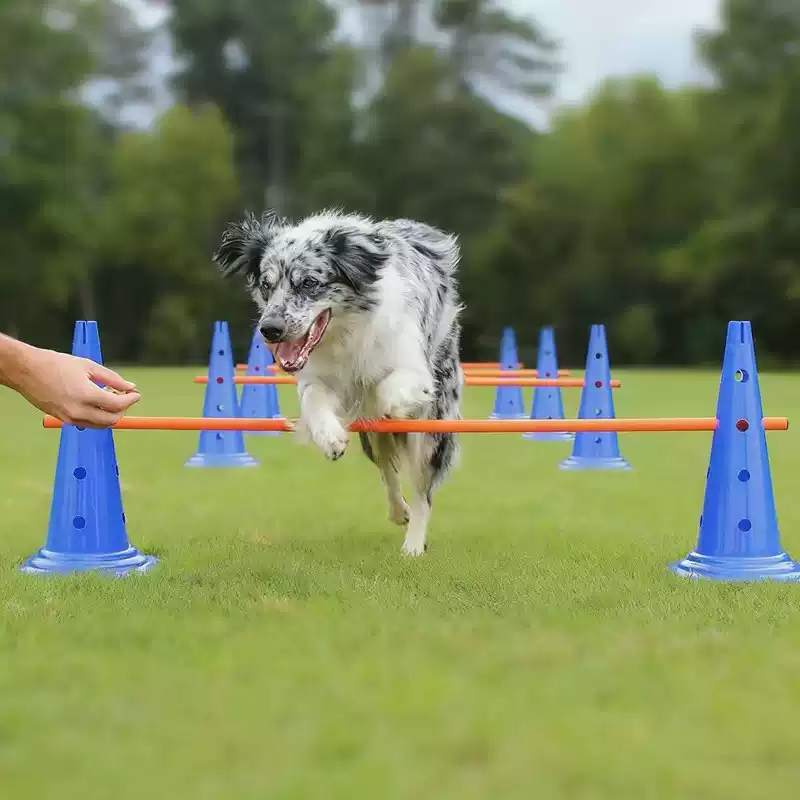 Agility Hurdle Set - Zestaw do agility dla psów 30