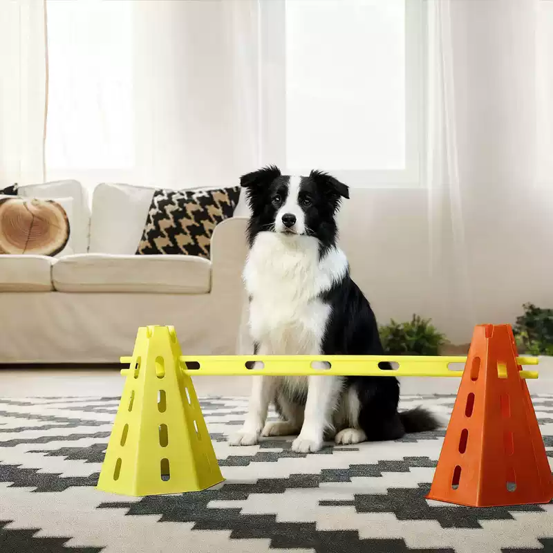 Zestaw do agility dla psów 30  – Agility Hurdle Set recenzja i cena