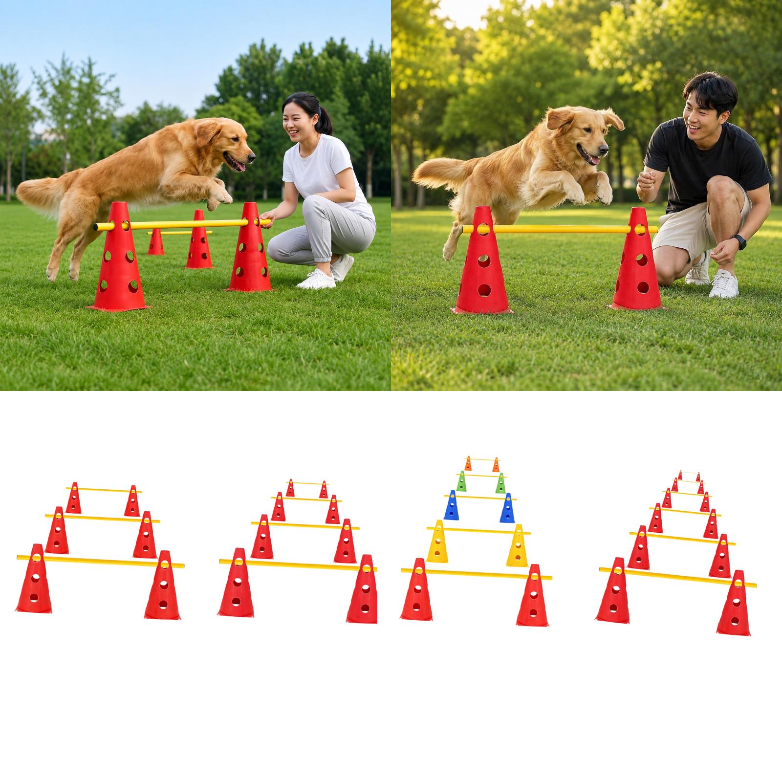 Zestaw do treningu psów na świ – Agility Hurdle Set recenzja i cena