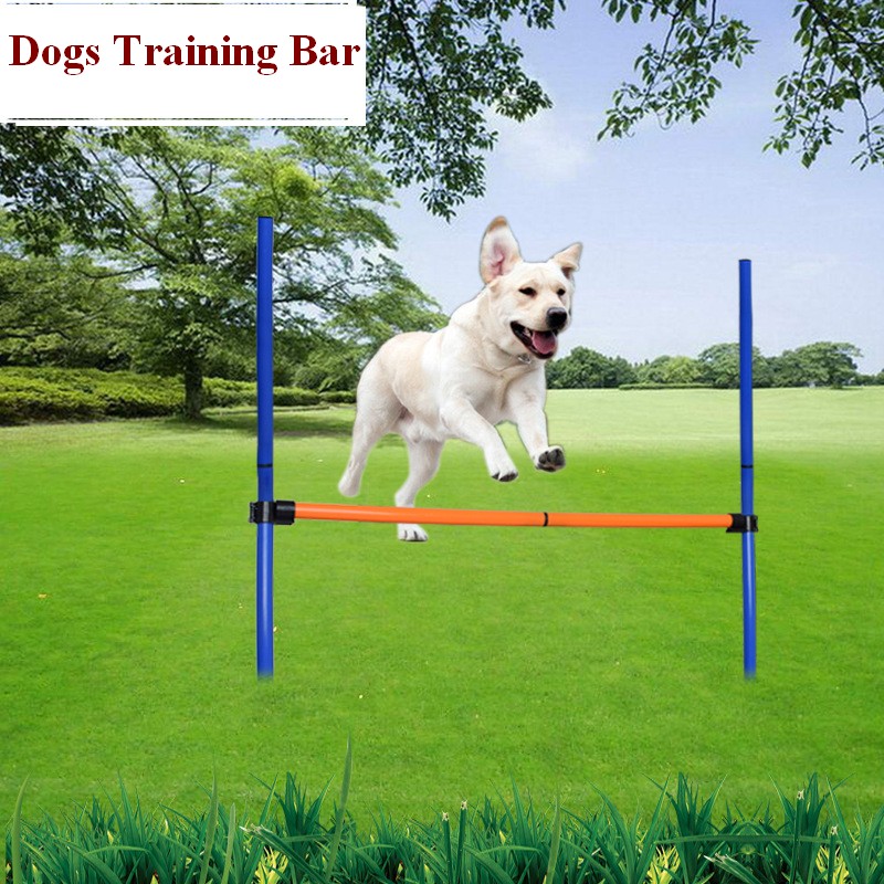 Zestaw sprzętu do treningu zrę – Agility Hurdle Set recenzja i cena