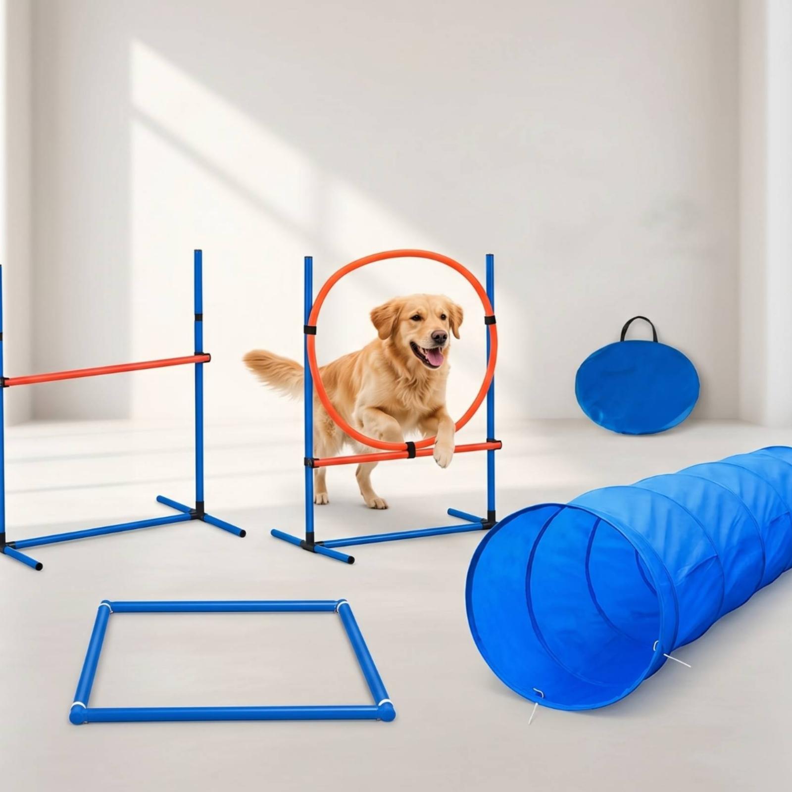 Interaktywny zestaw do trening – Agility Hurdle Set recenzja i cena
