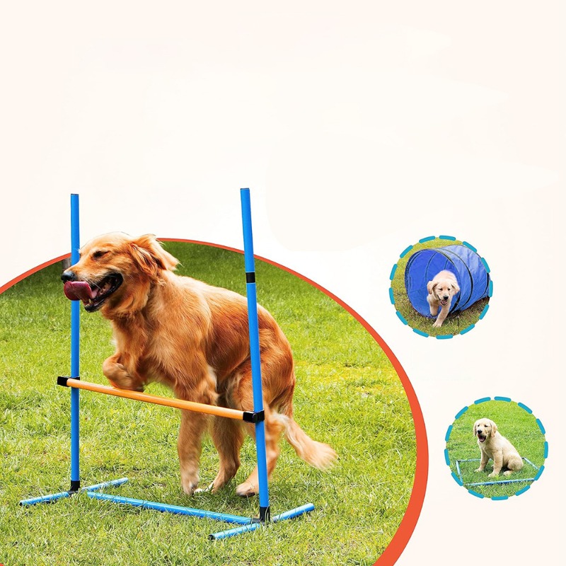 Zestaw do tresury psów Amazon, – Agility Hurdle Set recenzja i cena