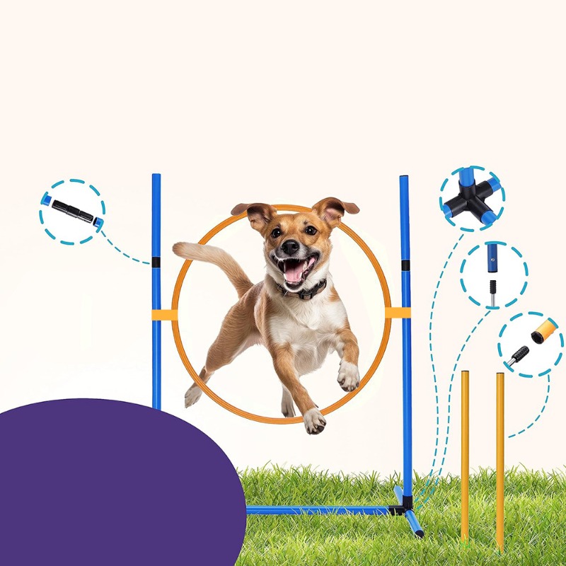 Zestaw do tresury psów Amazon, – Agility Hurdle Set recenzja i cena