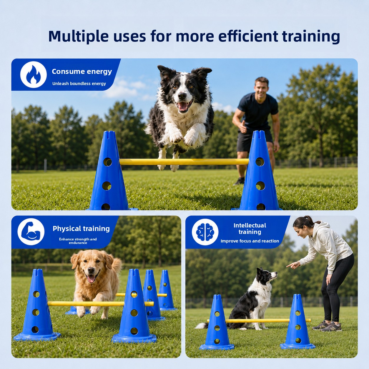 Zestaw do treningu agility dla – Agility Hurdle Set recenzja i cena