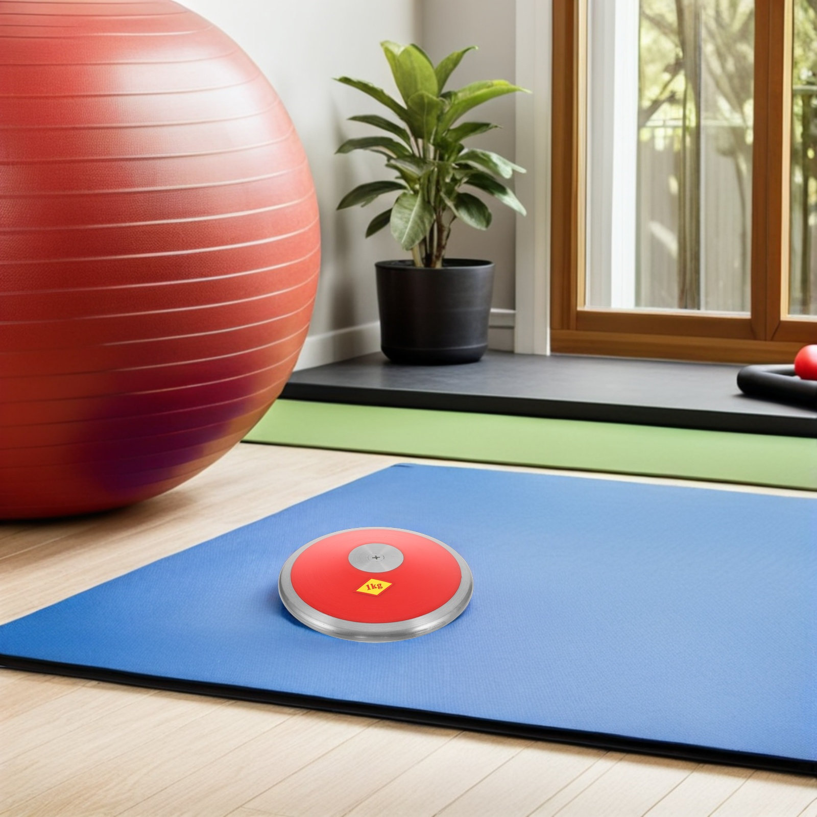 Dysk treningowy 1 kg, nylonowy – Sports Equipment Training recenzja i cena